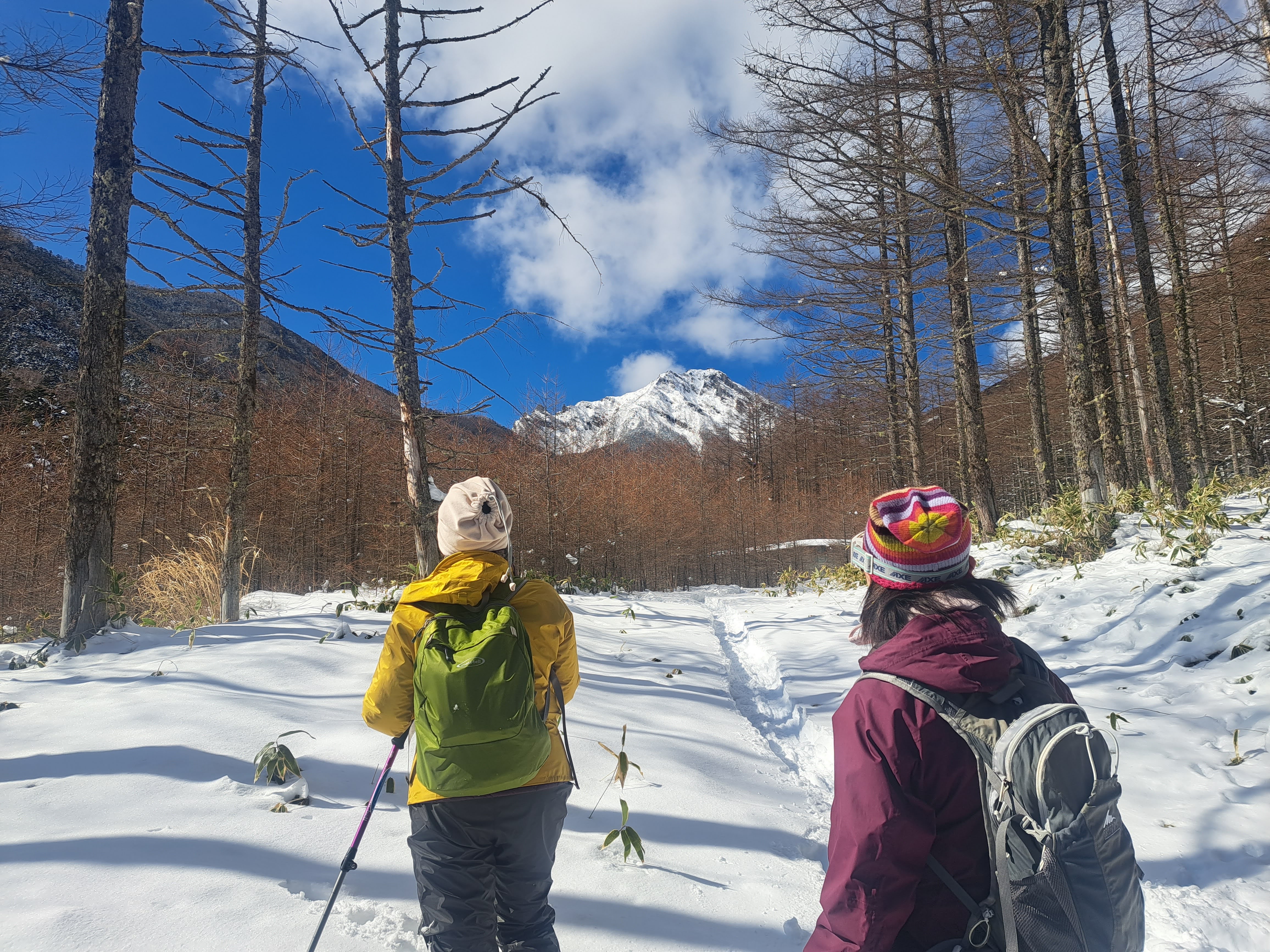 静かな冬の森を楽しむ、清里スノーハイキング – 八ヶ岳アウトドア